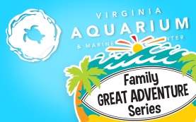 Virginia Aquarium Family Great Adventure Series Virginia Beach