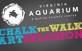 Virginia Aquarium Chalk the Walk ARTsplosion Virginia Beach